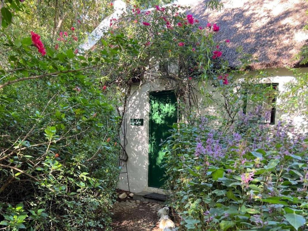 מלון מק'גרגור Temenos Retreat חדר תמונה